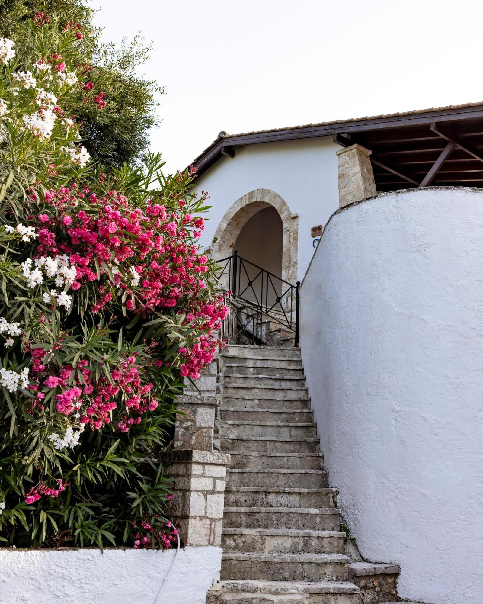 Villa Mount Minis - Casa Bruno Sívota Exterior foto